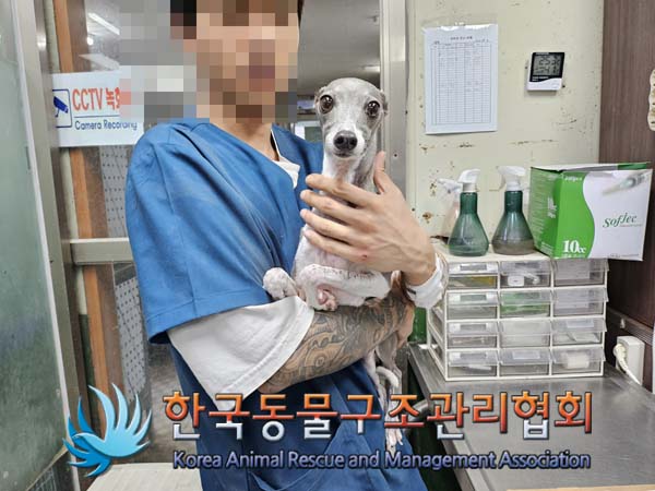 한국동물구조관리협회_411301202400360